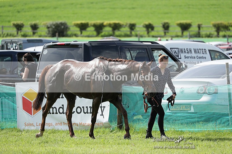 PtP 070523 401 - Kimblewick Races Coronation Meet  Kingston Blount 07/05/23
