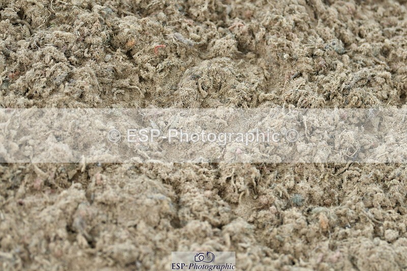 230721A-121035-06026 - Cls 18, 1 Star Silver 1.20m