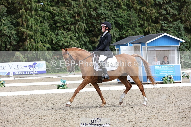 250718A-145324-02311 - 107-Beatrice.Coker-Brown-Portia.the.Fawn