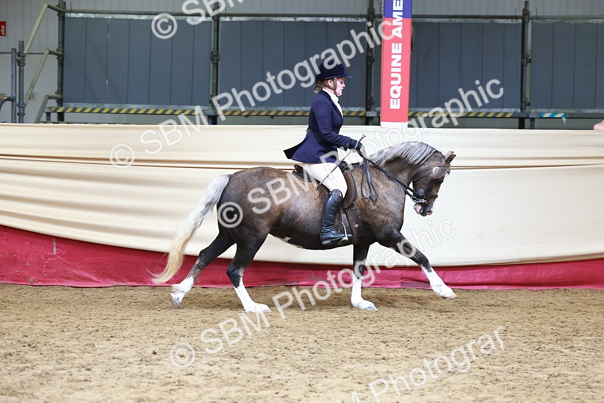 SBM_23722 - Class 905 - Supreme Final - Ridden Veteran