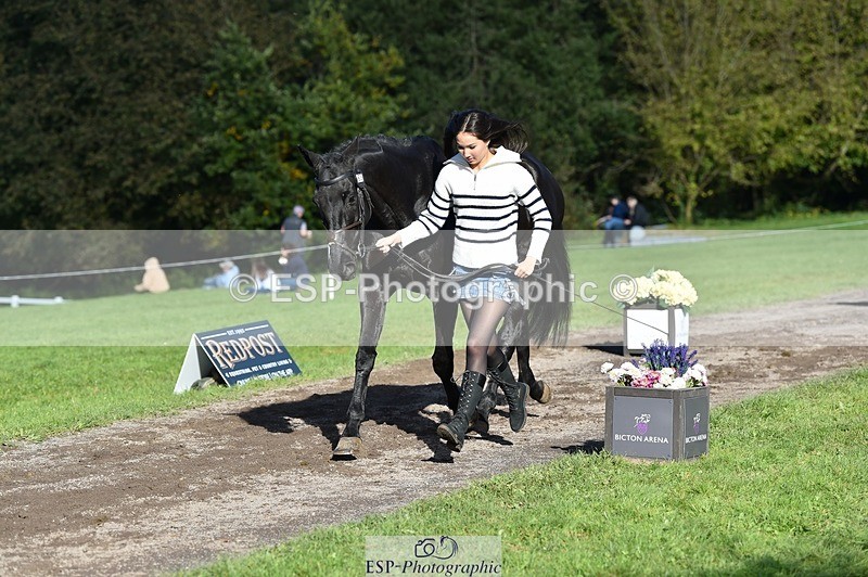 231022-112100-23904 - 563-SOUTHPAW-Kaia.Land-TrotUp+SJ