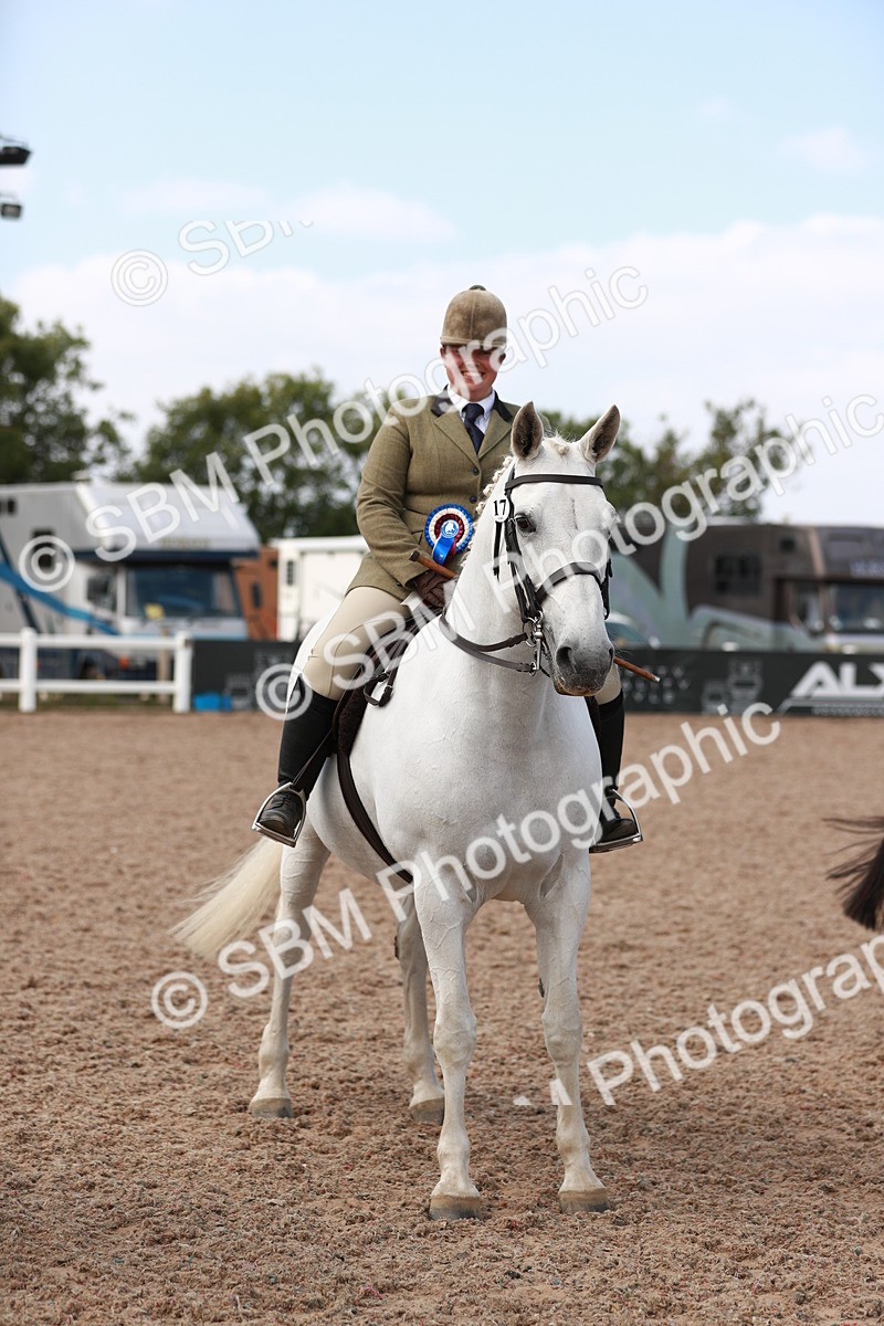 SBM_14921 - Class 212 Ridden Hunter - Small