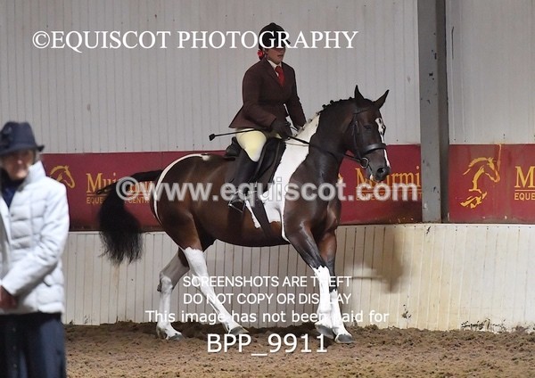 BPP_9911 - RING 2
