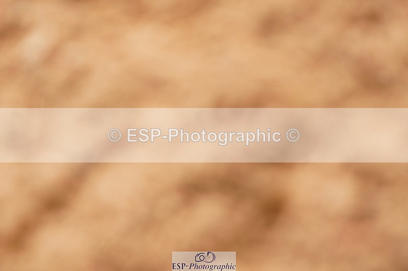 240526A-105758-07689 - Cls 26 Chard Equ 1.05m and 1.10m Grand Prix