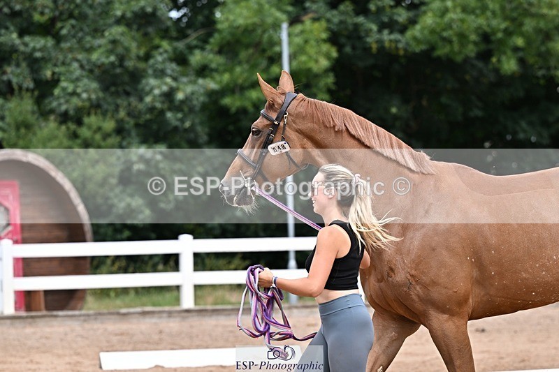 250716-133309-00568 - Trot Up 1.30 to 2.30