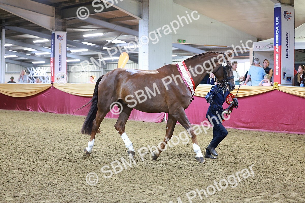 SBM_15018 - Class H - IH  Competition Riding Club Champ