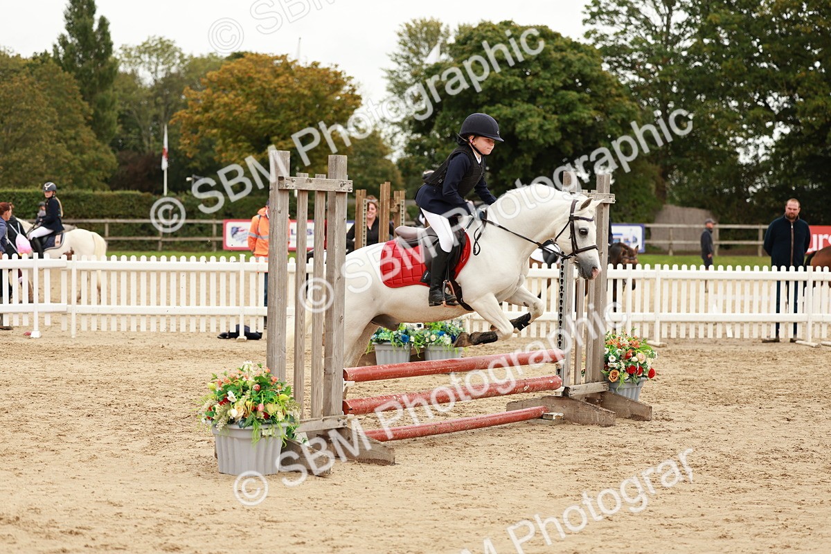 SBM_61793 - J12 - Junior Pony 55cm Championship