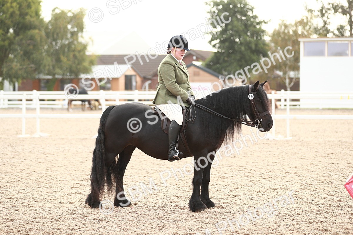 SBM_09445 - Class 202 Best Turned Out Ridden