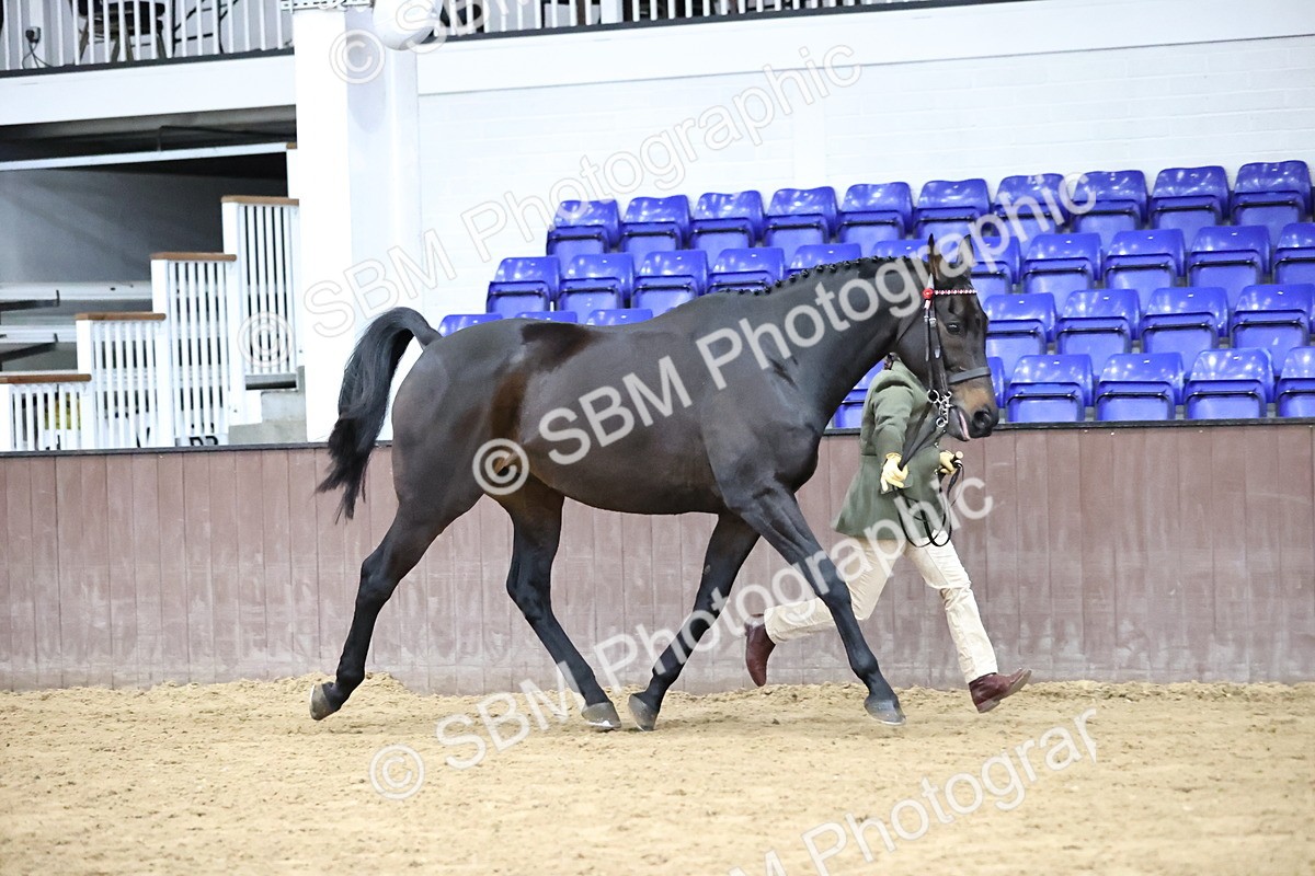 SBM_5800 - Class 4 - ROR Open In Hand