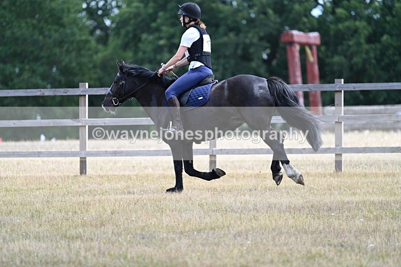 WJ7_0735 - 60cm Time 12:26 to 12:46