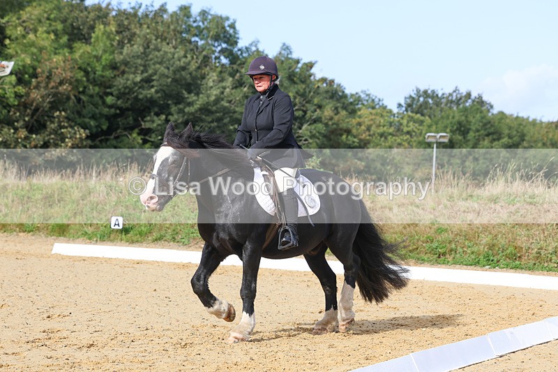 3E7A2309 - Class 1: Intro 4 2024 section A