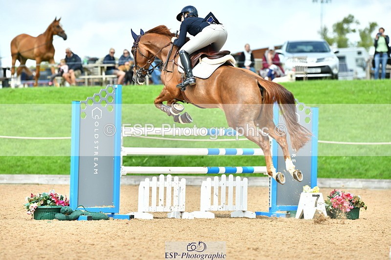 230728A-141110-02801 - Cls 3 Foxhunter