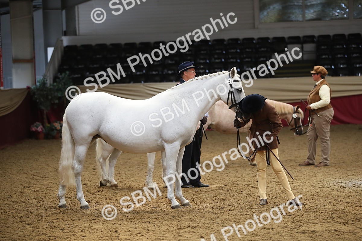 SBM_05354_Class 8r - Regional - IH Veteran - Vicky Gutteridge