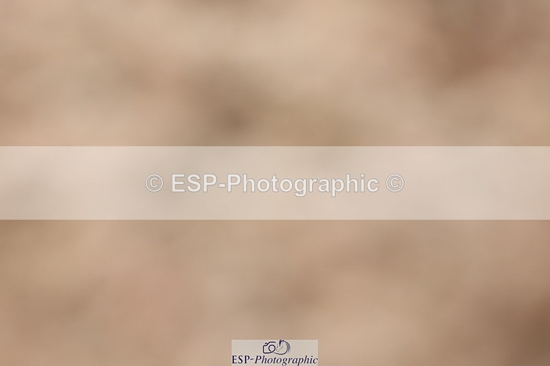 240621A-153951-05269 - Cls 2 Intro B