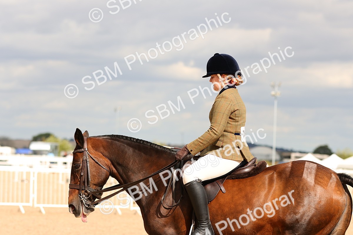 SBM_15557 - Class 214 - Ridden Show Cob