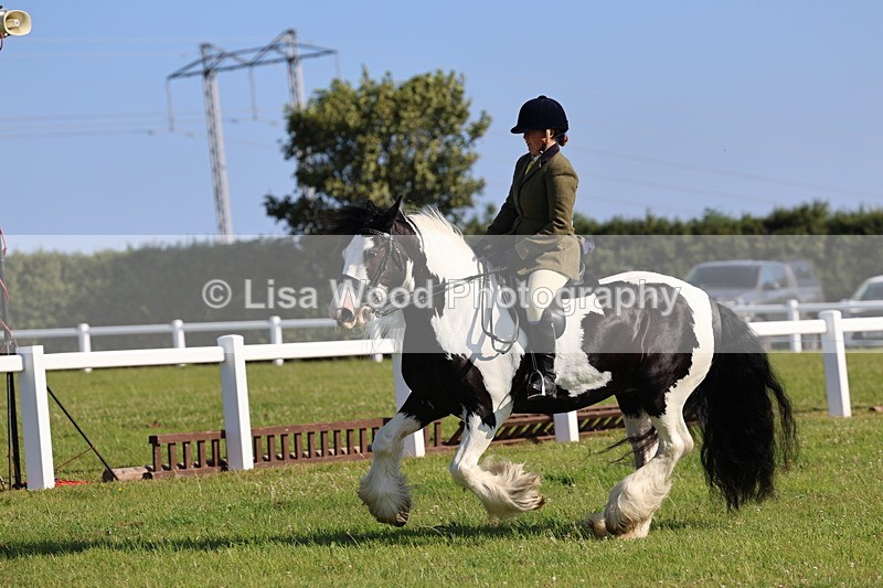 IMG_1520 - Class 30: Ridden Native/Trad Coloured Pony