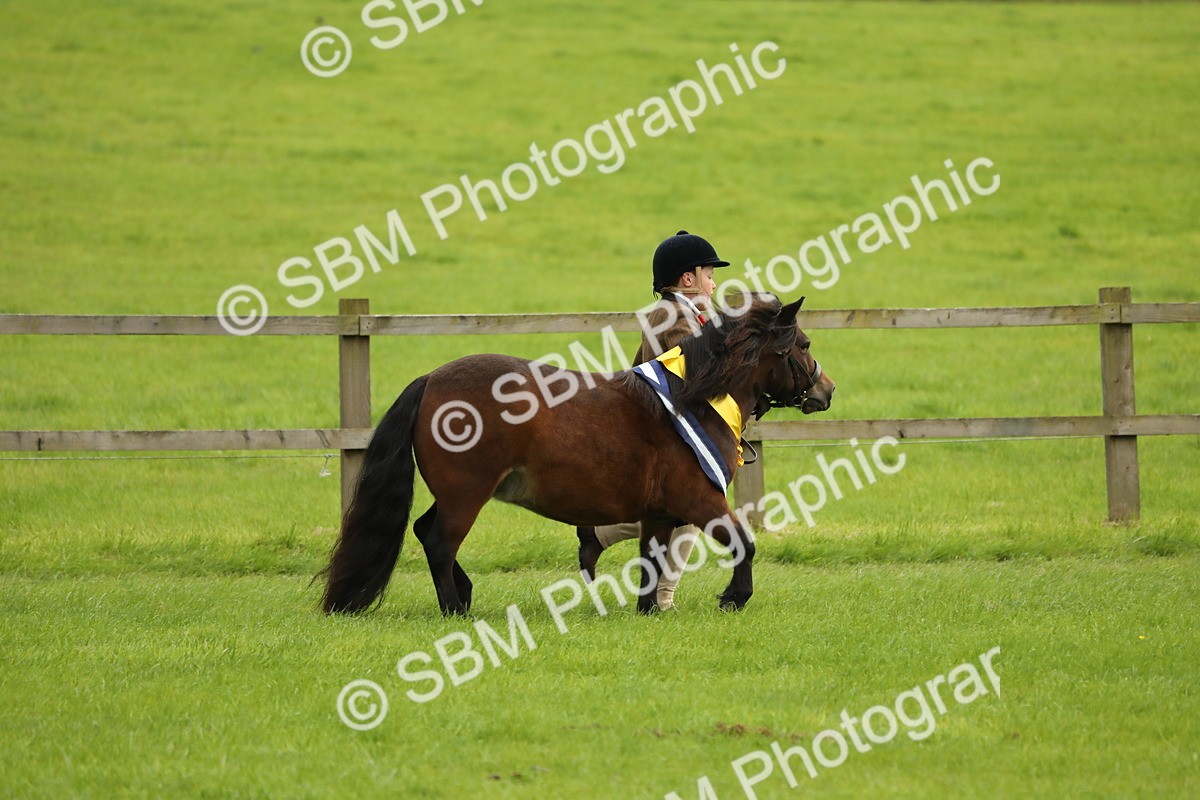 SBM_75413 - Equitation Supreme Championship