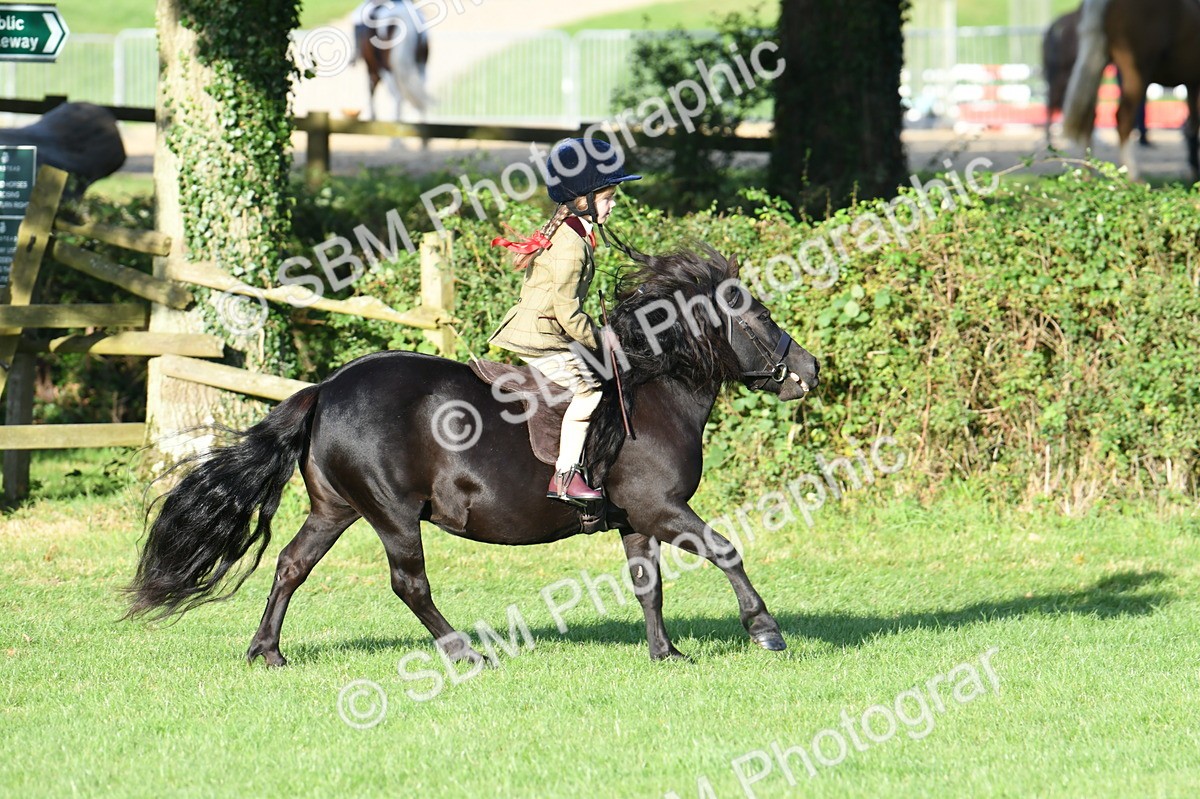SBM_54063 - S23 - 1st Ridden Mountain & Moorland Pony