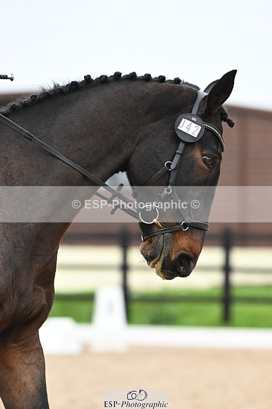 241103-113334-00546 - Intro 3 - 10.50 to 11.44