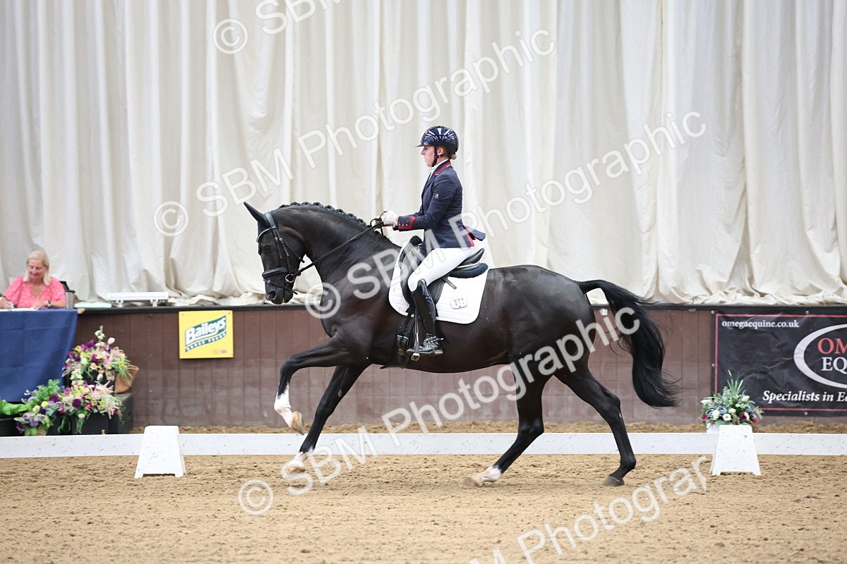 SBM_002218 - Class 5 - Novice 6 Gold - 9.00-10.10
