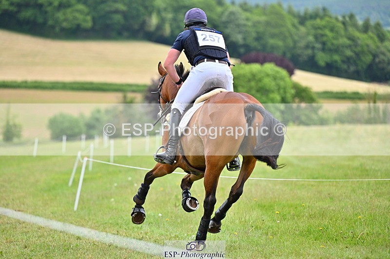 250524A-160831-14968 - C-257-Mark.Davidson-NO.LIMITS.DAMERLOO