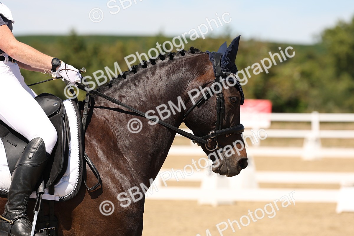 SBM_002954 - Elementary 4