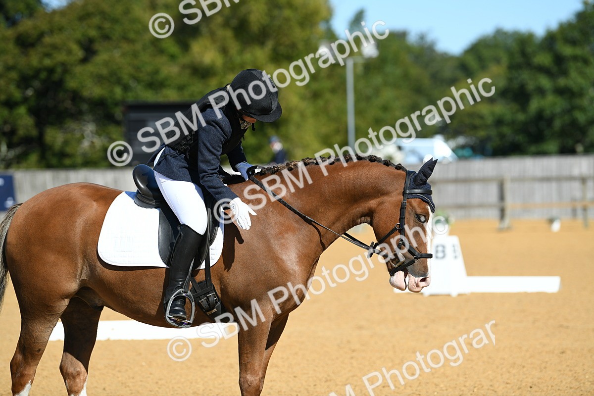 SBM_18153 - D4 - Small Tour Championship - Intro B