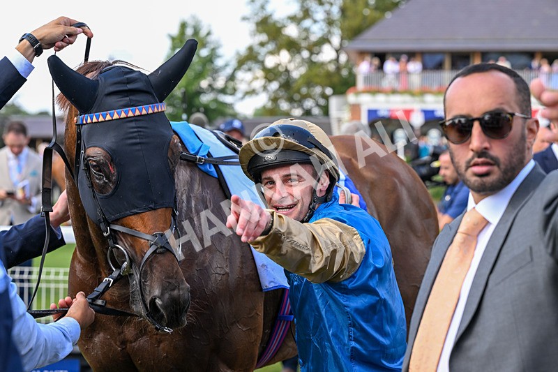 220826-Race 1-Archivist-9433 - Race 1 13.50pm Sky Bet Strensall Stakes
