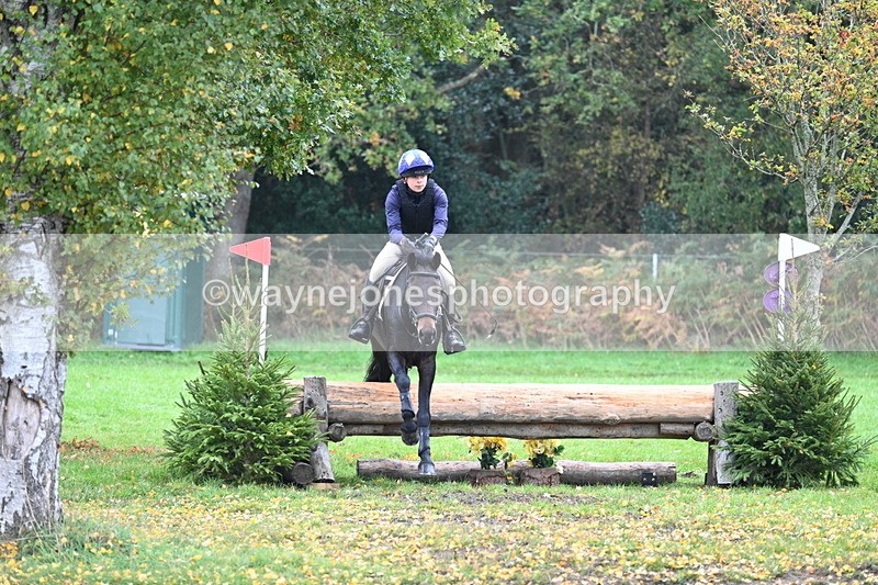 WJ7_2994 - Time 10:47 to 11:11 at the water