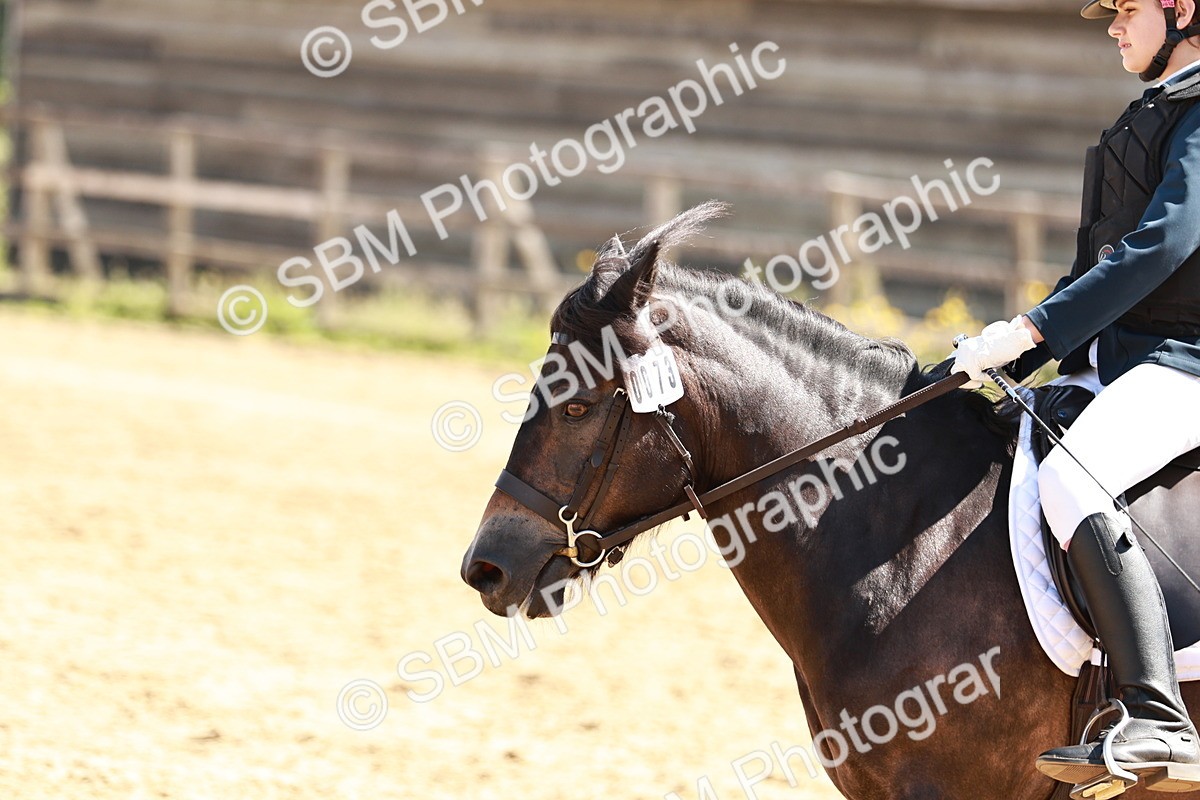 SBM_001709 - Class 13 - DR P2