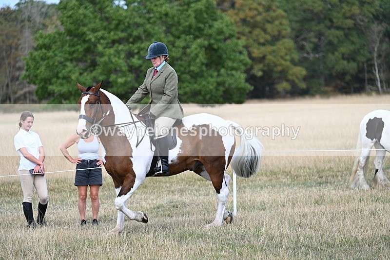 WJ7_7162 - Class 14 Ridden Coloured