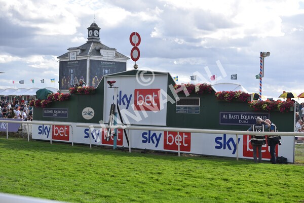 yr19082022r7-21 - Race 7 5.20pm Sky Bet Mile Stakes