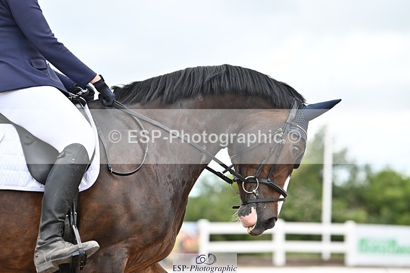 250705-175538-04443 - N2 Section BDNOV2 16.29 to 17.46