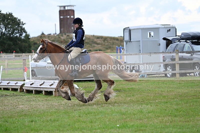 WJ7_7714 - 40cm Time 10:49 to 11:18
