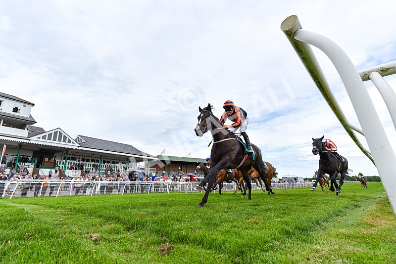 220626-Race 6-War Memorial-1149 - Race 6 17.10pm Racing Again 8th July Handicap