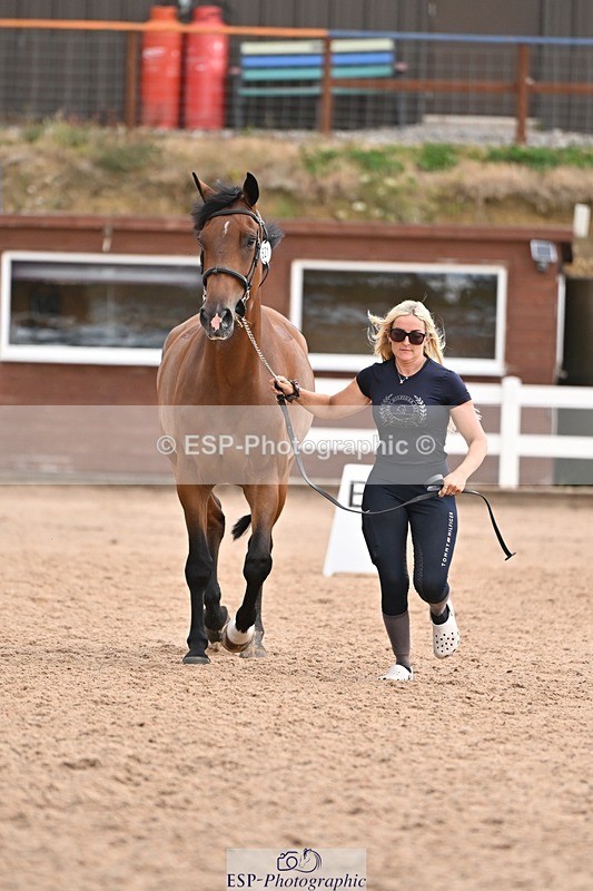 250716-145431-01493 - Trot Up 2.30 to 3.30