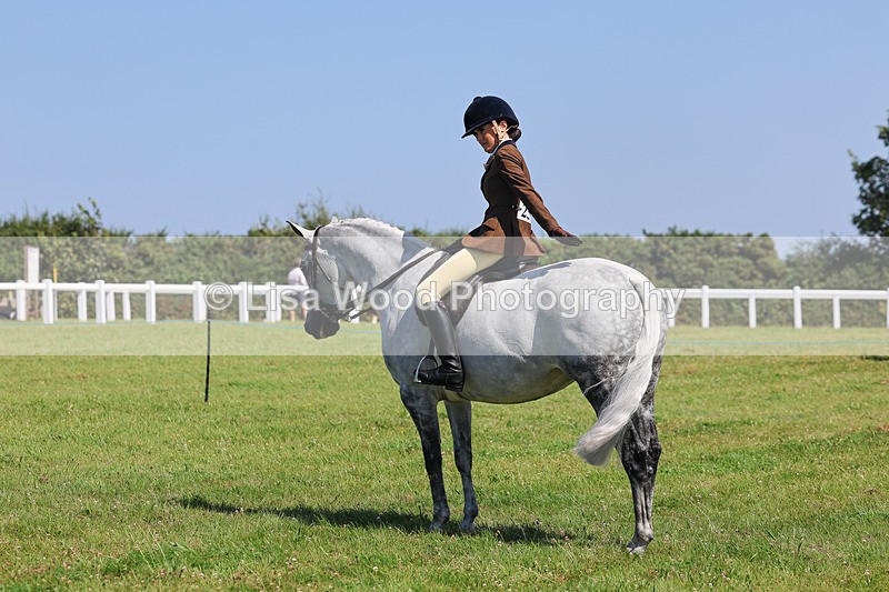IMG_2181 - Class 36: Part Bred Ridden M & M