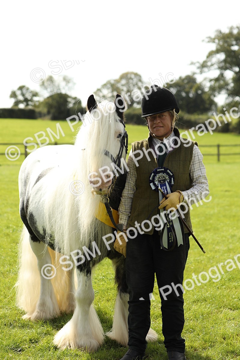 SBM_66366 - In Hand Pony & Youngstock Supreme Championship