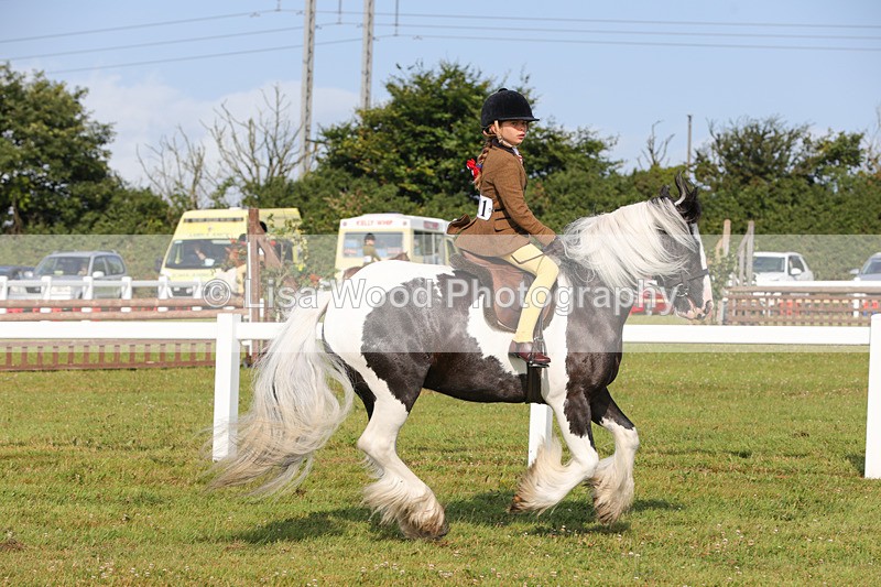 1X9A3259 - Class 28: Ridden Native/Trad Coloured Pony