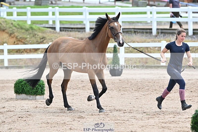 240717A-143049-02094 - Trot Up 2pm to 3pm - This folder is not in time order