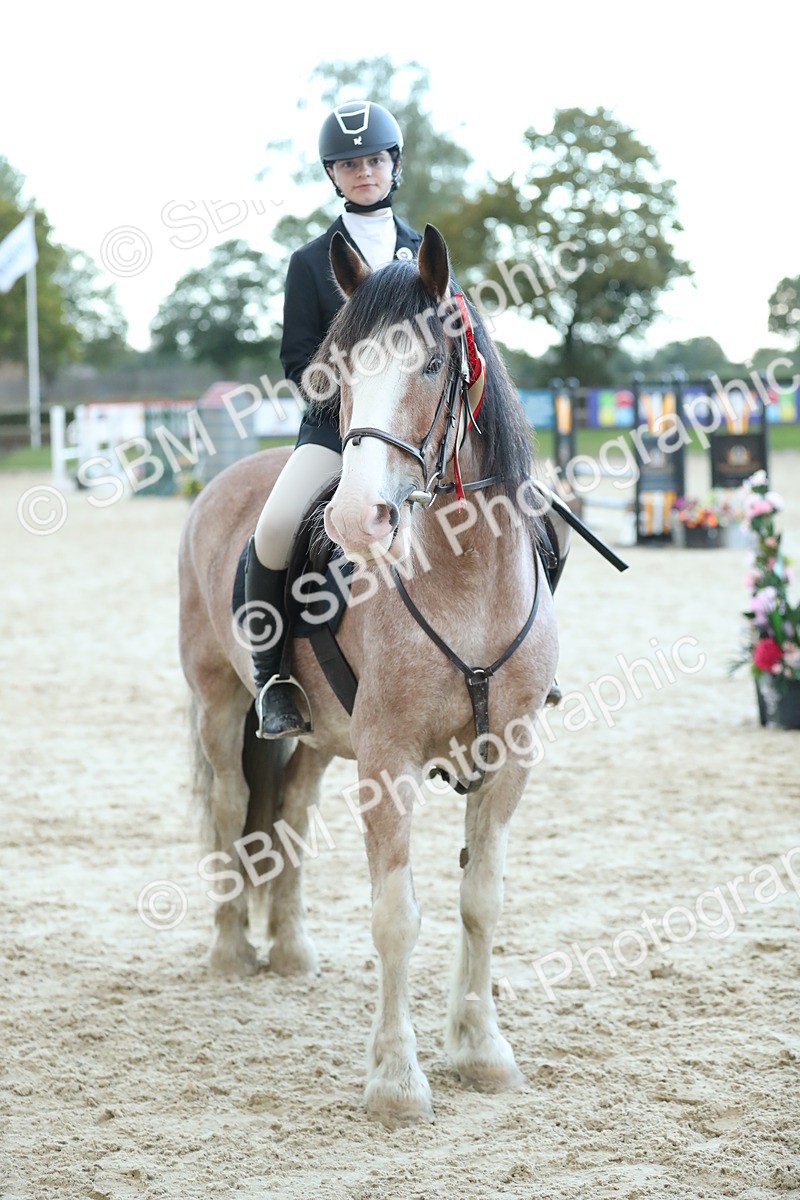SBM_53776 - Supreme Championship 65cm 70cm