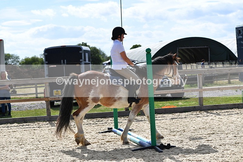 WJ5_5554 - Poles on the Floor