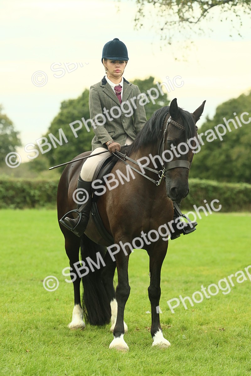 SBM_72238 - S60 - Mountain & Moorland Ridden Large Breeds