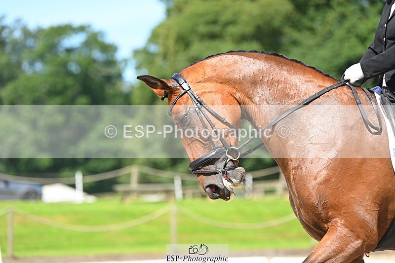 230811-120842-01182 - Cls 4 Adv Medium Silver