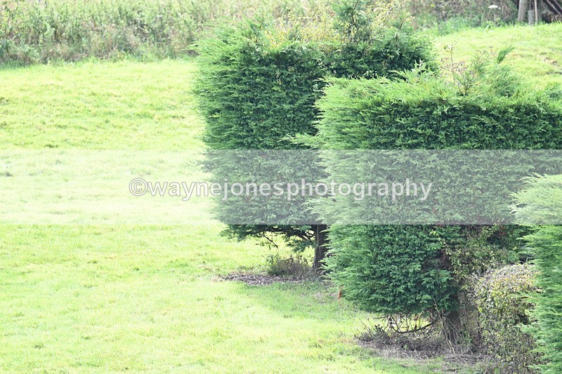 WJ7_7634 - Time 13:30 to 13:48