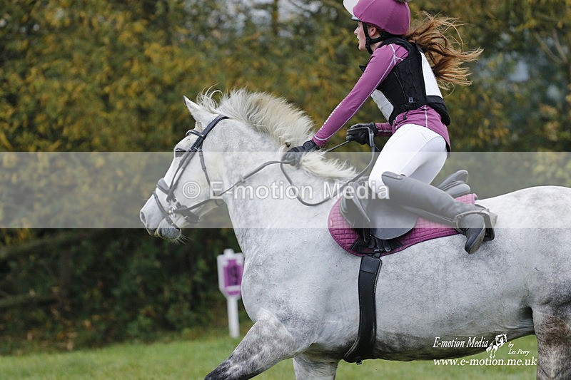 WWHT 171021 0327 - Novice Restricted (0.80m)  17/10/21