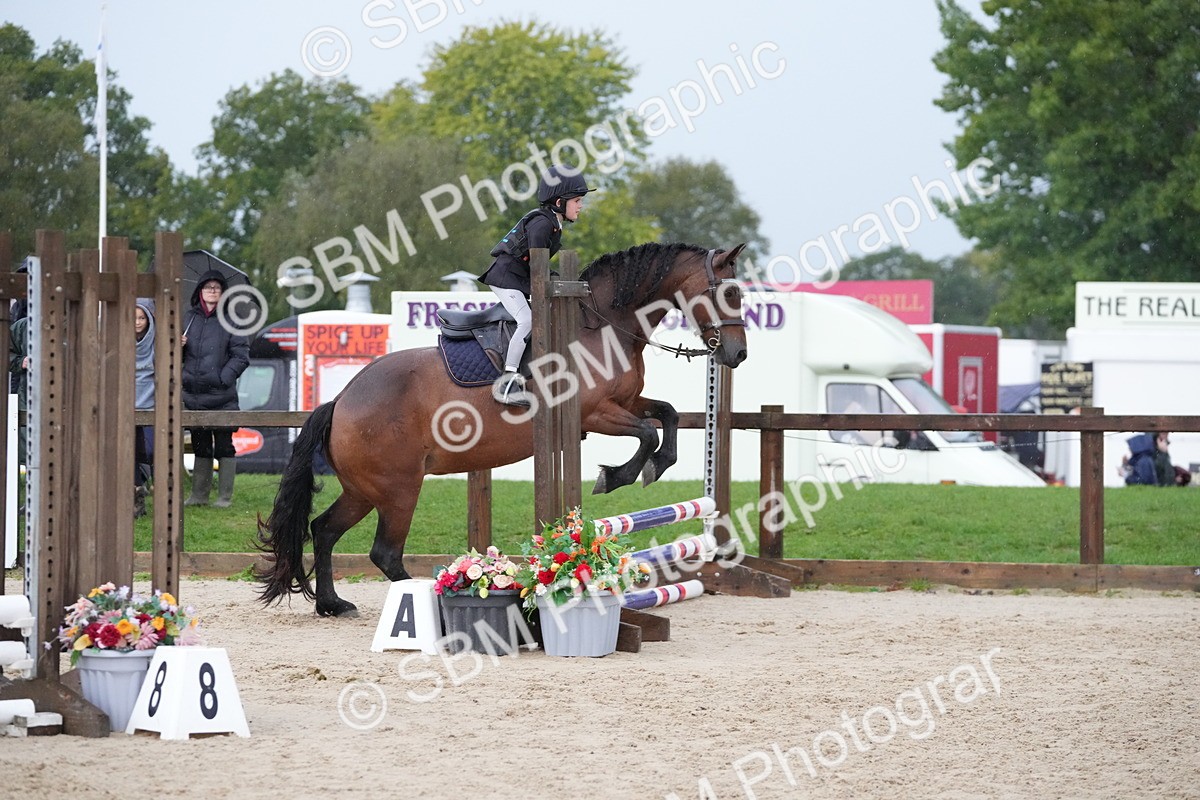 SBM_33984 - J5 - Junior Pony 50cm Championship