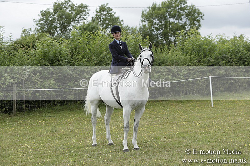 BVR160717-2384 - Side Saddle Classes 16/07/17