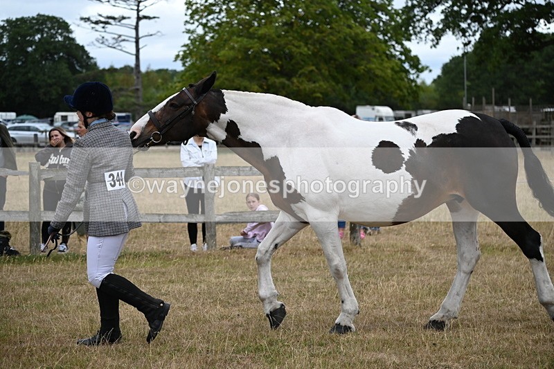 WJ6_8289 - Class 10 Coloured in Hand