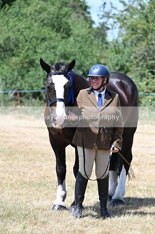 WJ7_2455 - Class 5a Most Handsome Gelding in hand (above 14.2hh)